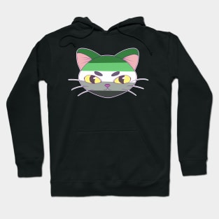 Aro Cat Hoodie